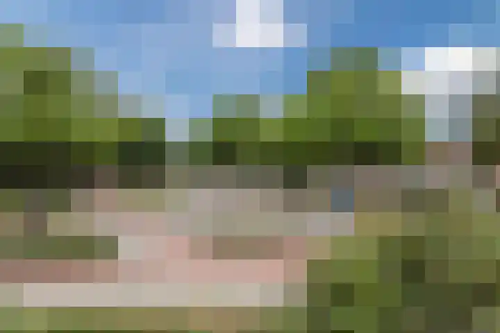 Dommelshei 22 Veldhoven thumbnail 21