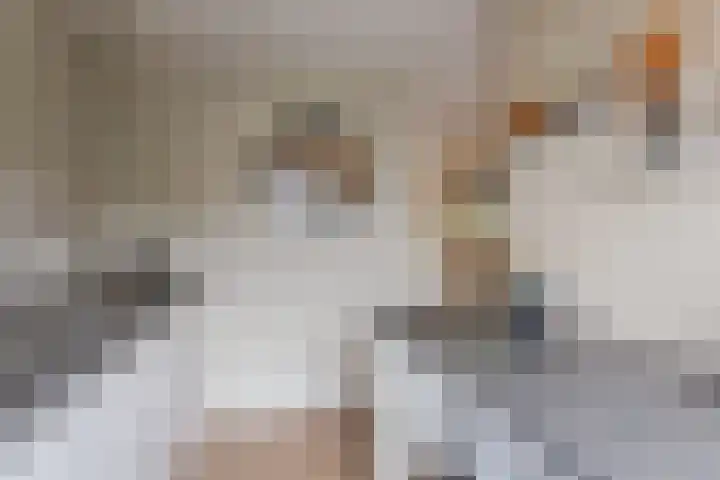 Dommelshei 22 Veldhoven thumbnail 26