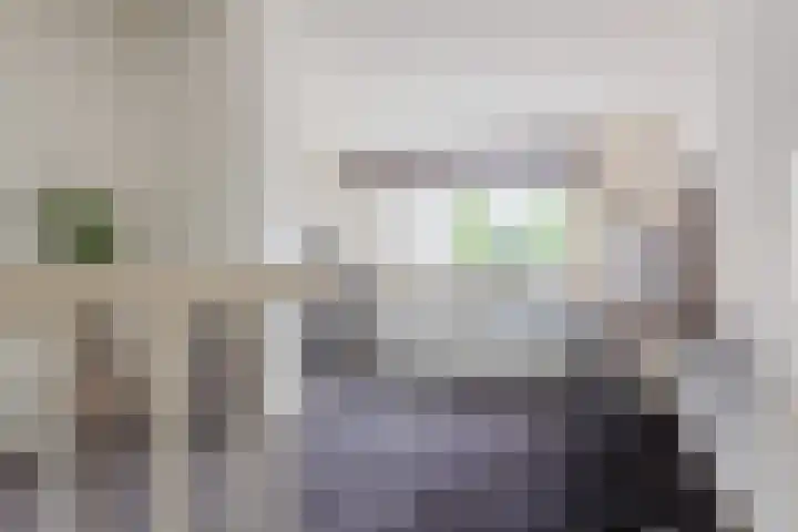 Dommelshei 22 Veldhoven thumbnail 33