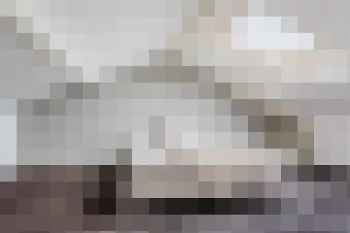 Dommelshei 22 Veldhoven thumbnail 35