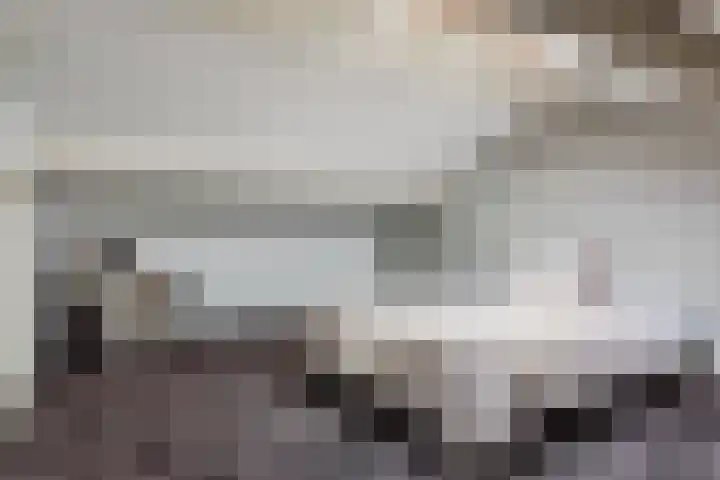 Dommelshei 22 Veldhoven thumbnail 36