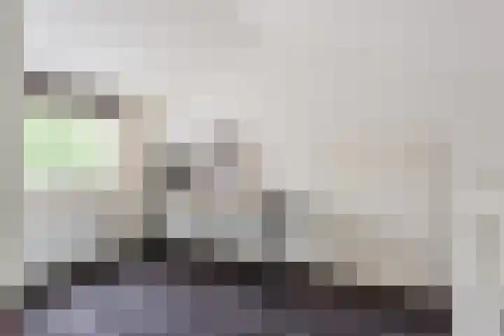 Dommelshei 22 Veldhoven thumbnail 38