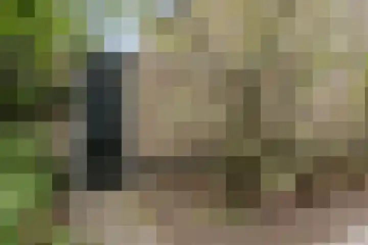 Dommelshei 22 Veldhoven thumbnail 39