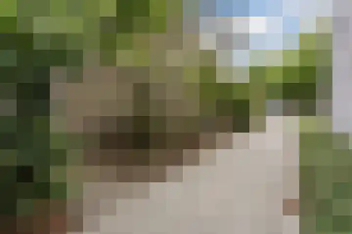 Dommelshei 22 Veldhoven thumbnail 40