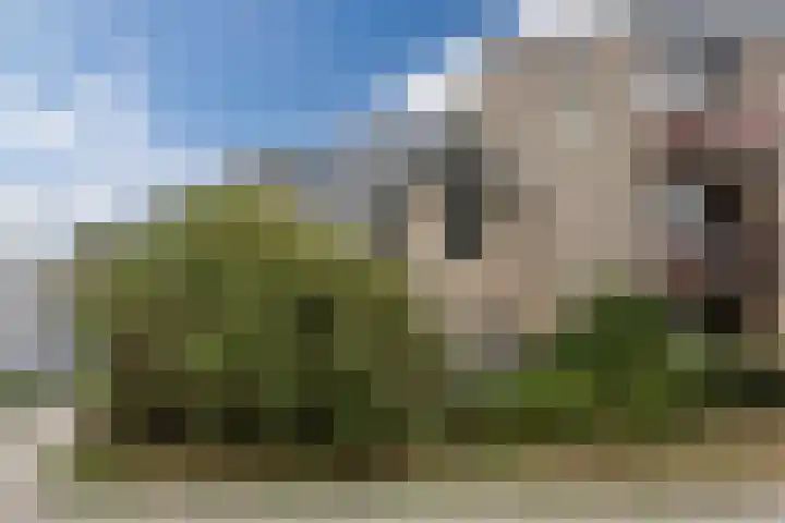 Dommelshei 22 Veldhoven thumbnail 41