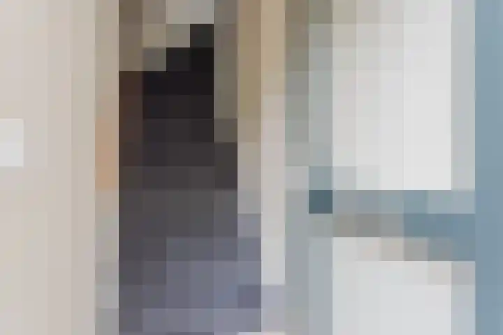 Dommelshei 22 Veldhoven thumbnail 8