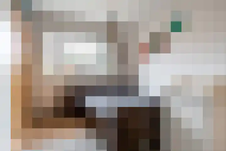 Dommelshei 48 Veldhoven thumbnail 20