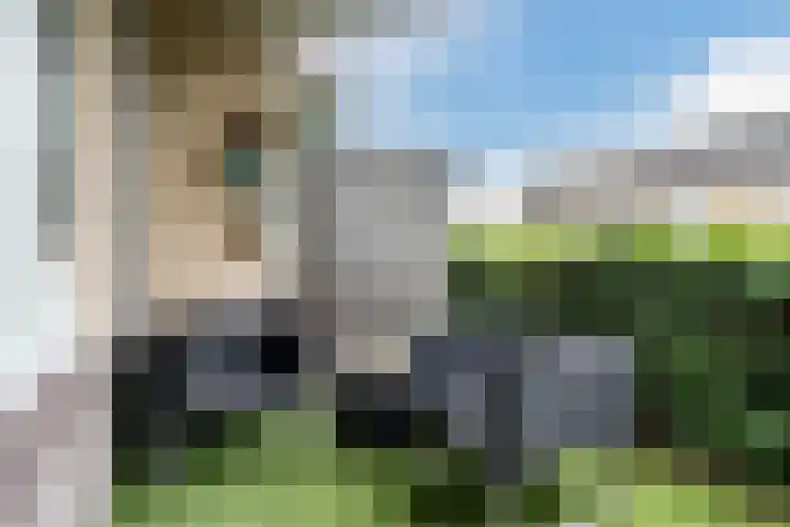 Dommelshei 48 Veldhoven thumbnail 23
