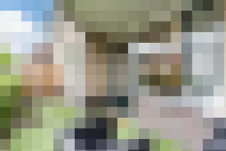 Dommelshei 48 Veldhoven thumbnail 24