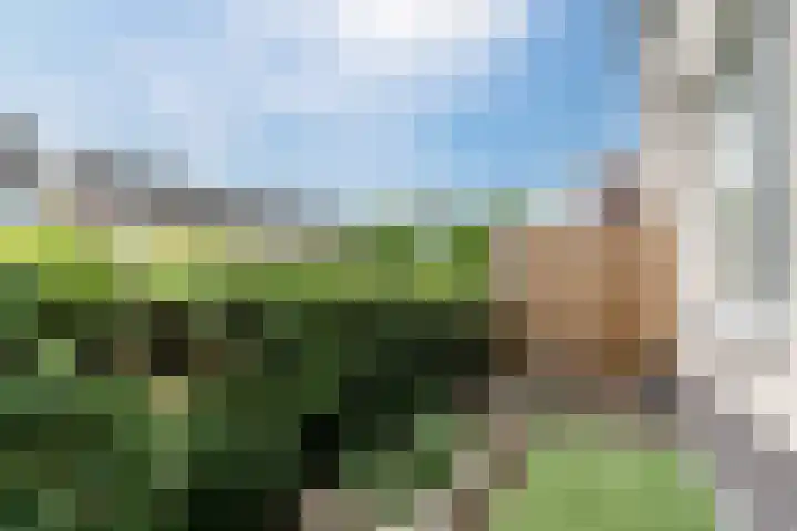 Dommelshei 48 Veldhoven thumbnail 25