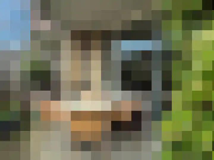 Dommelshei 60 Veldhoven thumbnail 22