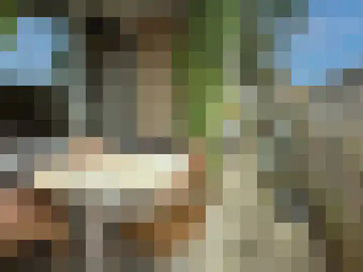 Dommelshei 60 Veldhoven thumbnail 23