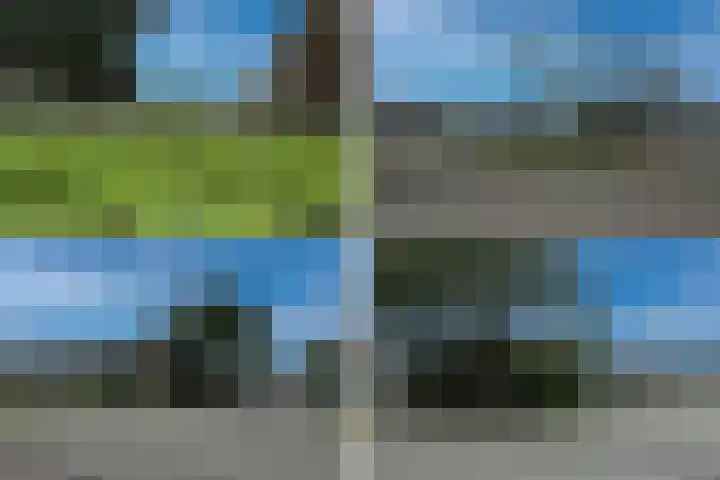 Dommelshei 60 Veldhoven thumbnail 27