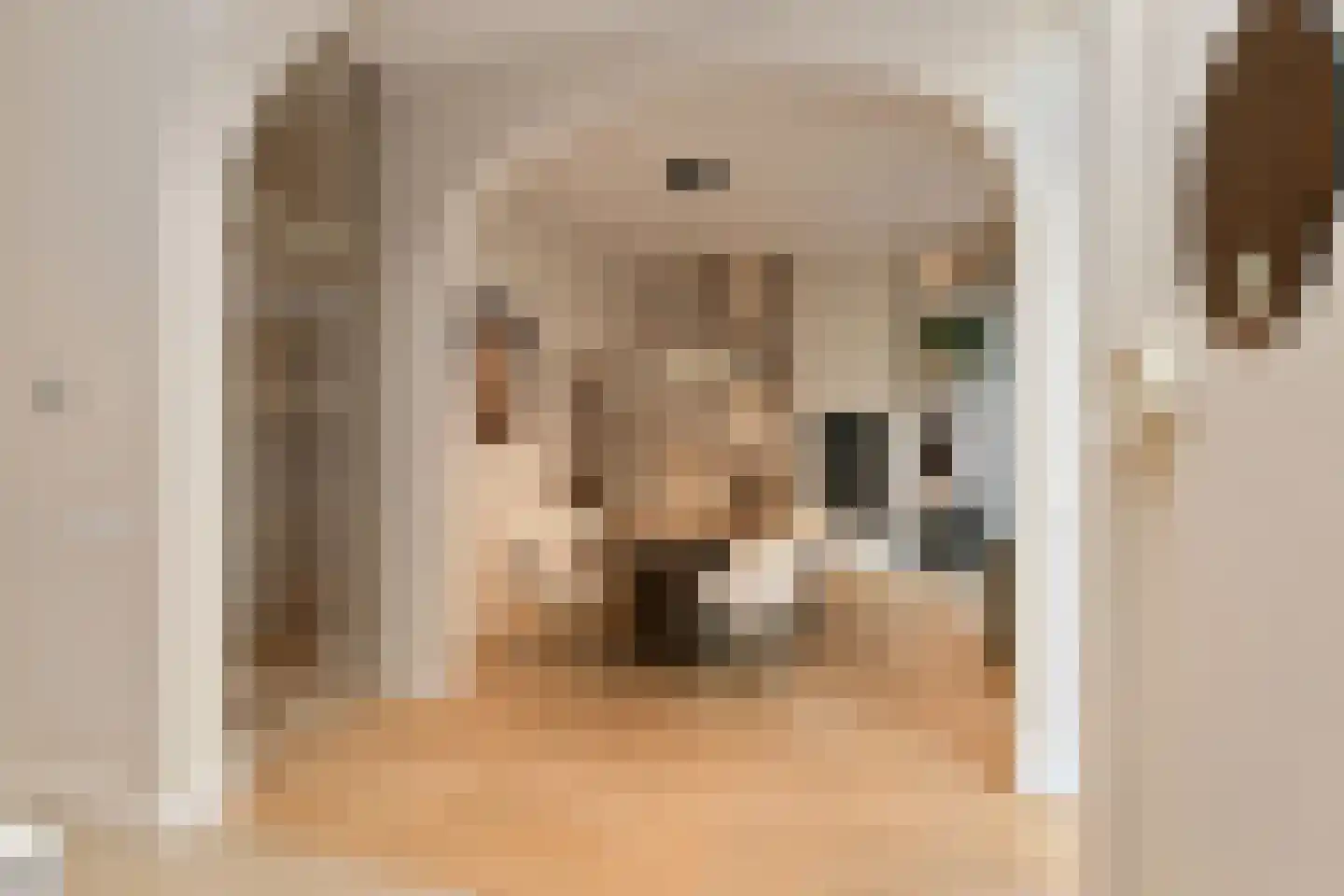 Dommelstraat 10 Eindhoven thumbnail 16