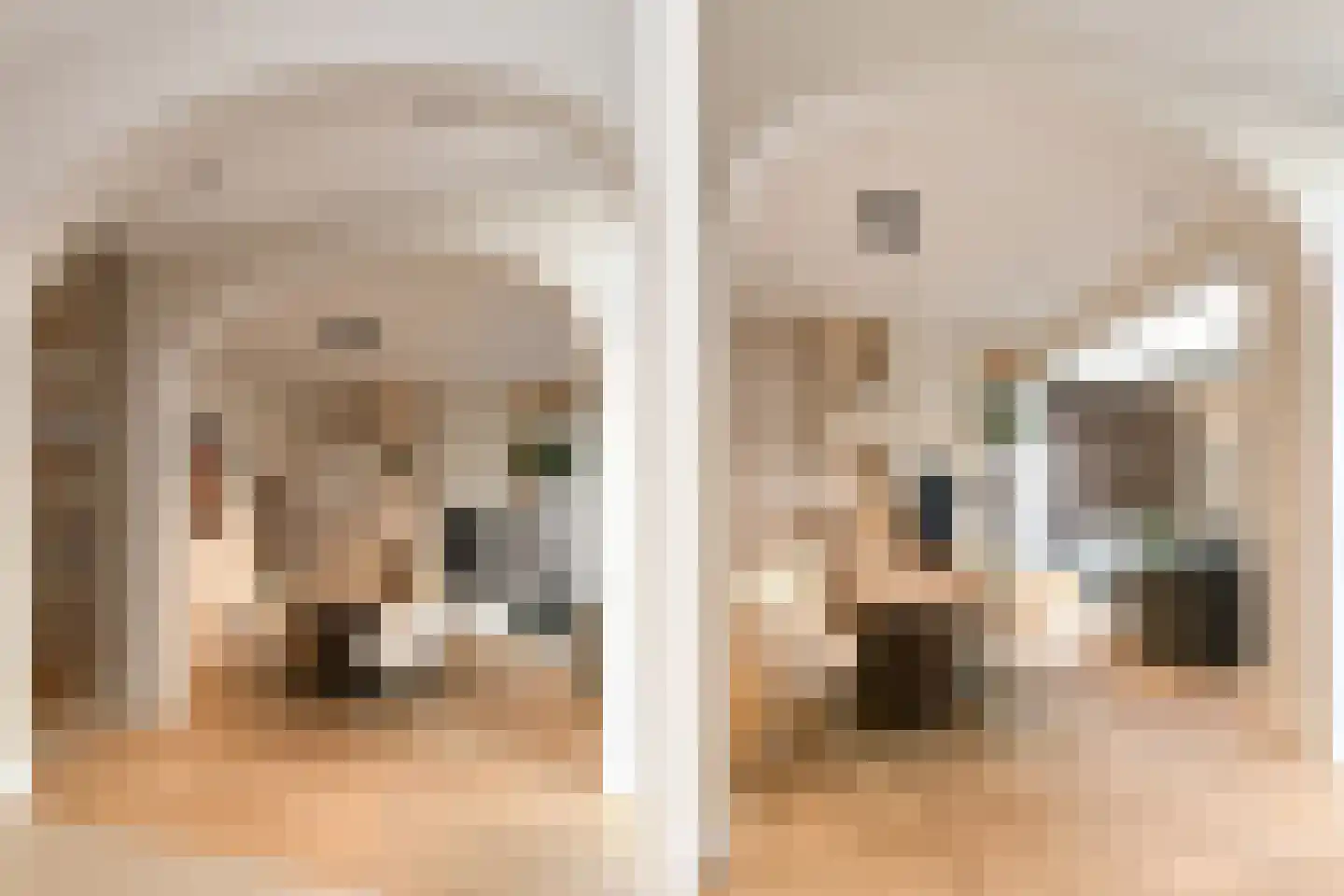 Dommelstraat 10 Eindhoven thumbnail 17