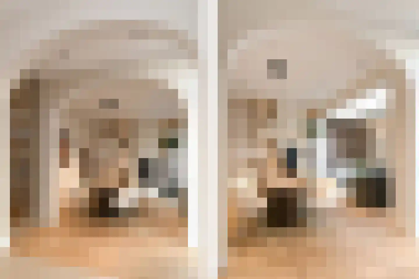 Dommelstraat 10 Eindhoven thumbnail 17
