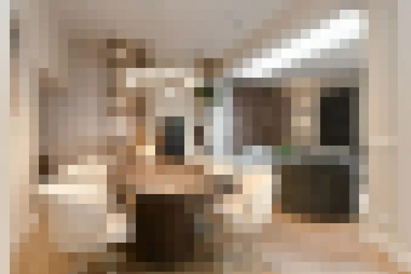 Dommelstraat 10 Eindhoven thumbnail 18