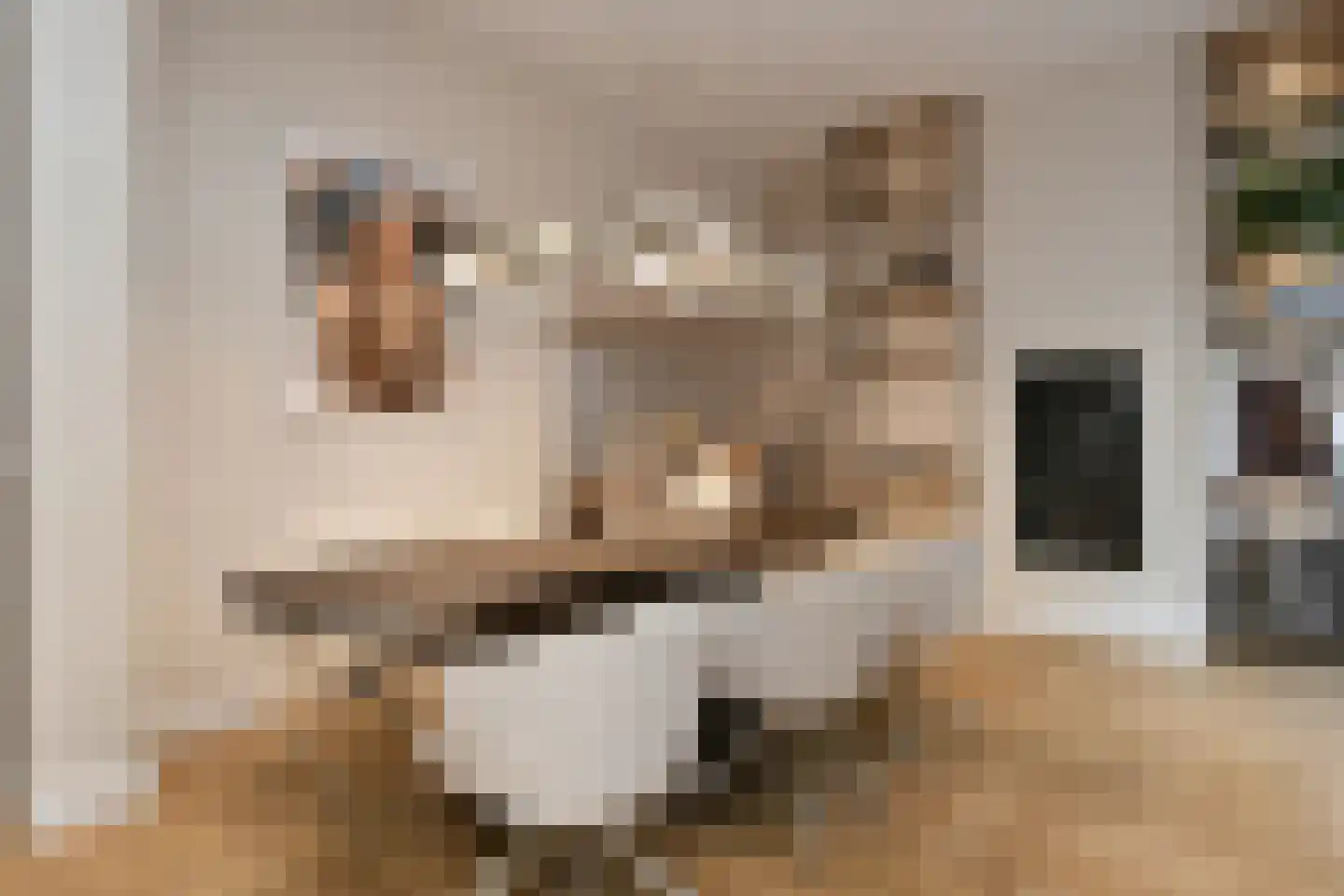 Dommelstraat 10 Eindhoven thumbnail 19