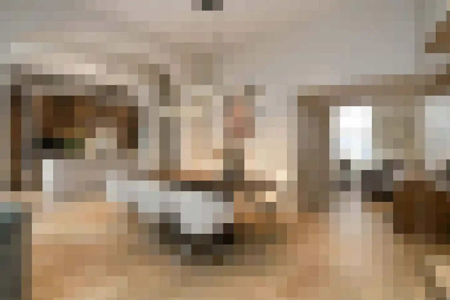 Dommelstraat 10 Eindhoven thumbnail 20