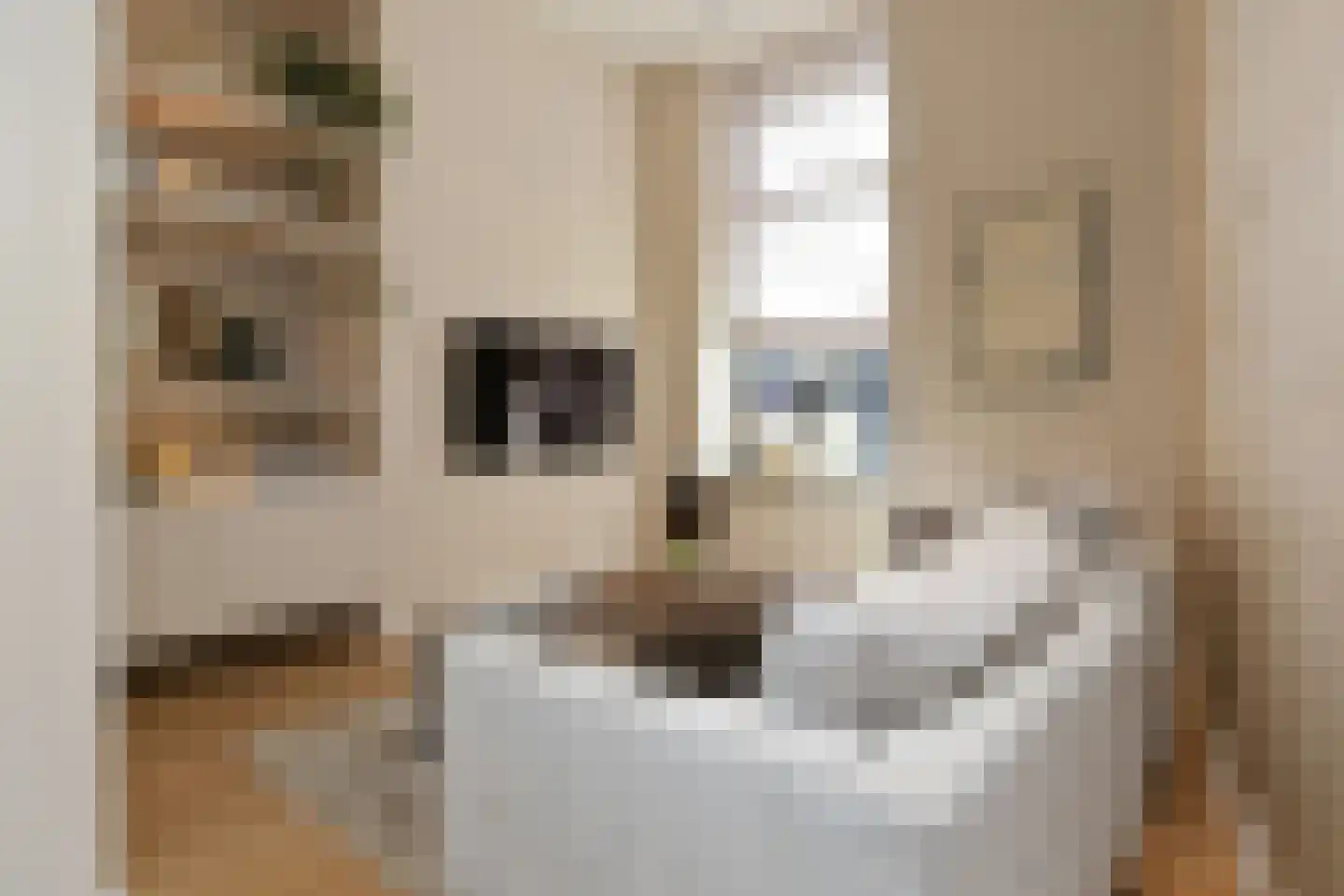 Dommelstraat 10 Eindhoven thumbnail 21