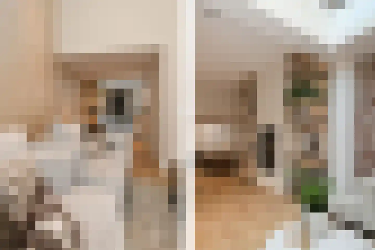 Dommelstraat 10 Eindhoven thumbnail 23
