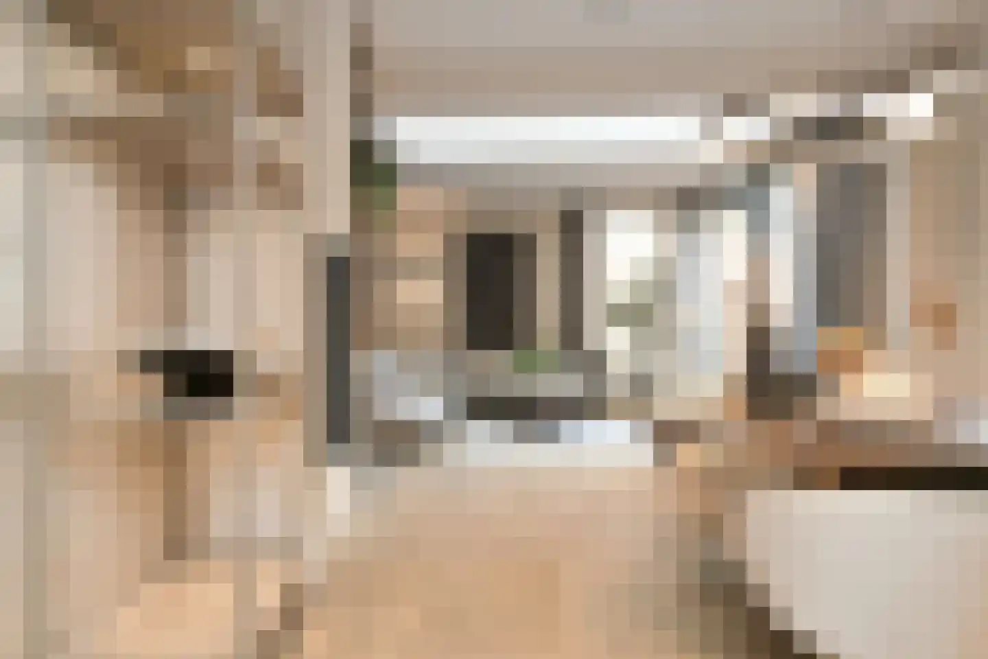 Dommelstraat 10 Eindhoven thumbnail 25