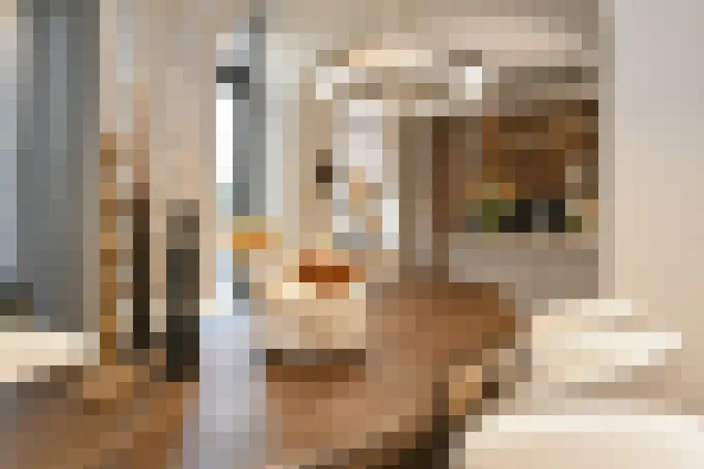 Dommelstraat 10 Eindhoven thumbnail 28