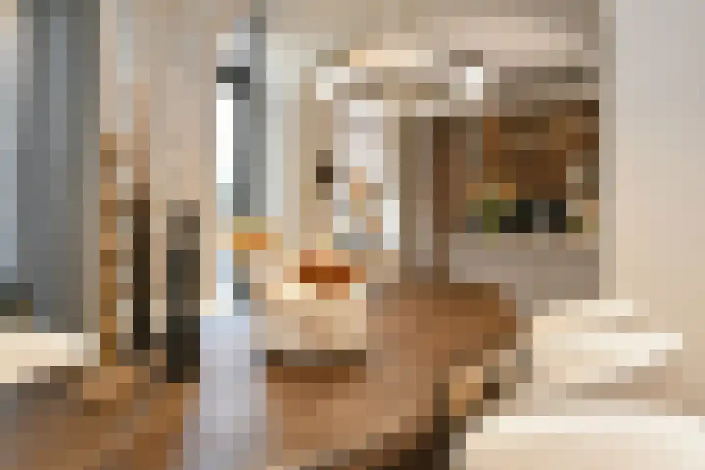 Dommelstraat 10 Eindhoven thumbnail 28