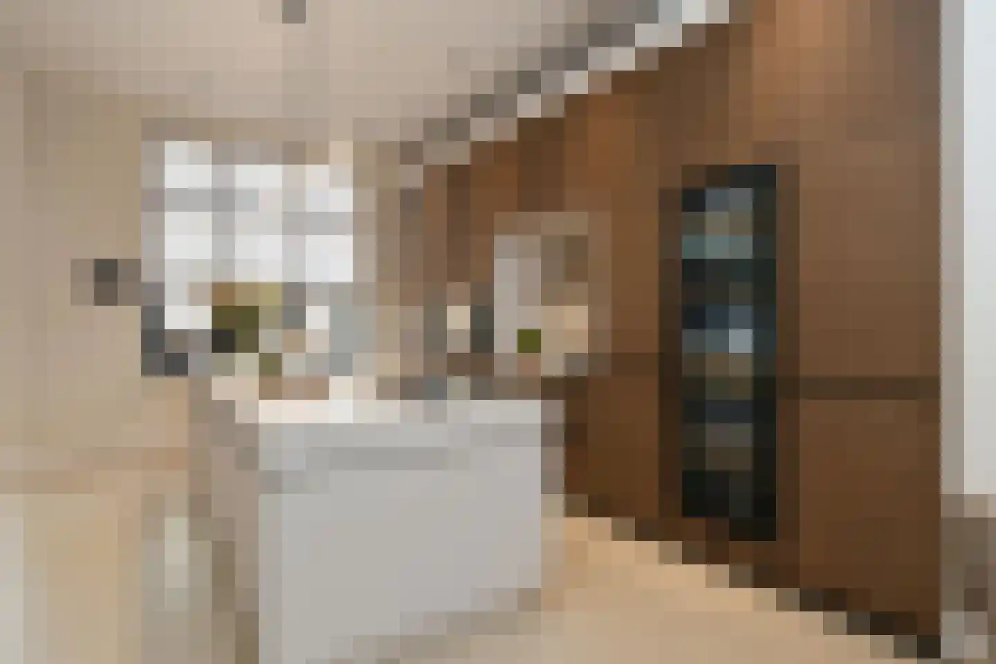 Dommelstraat 10 Eindhoven thumbnail 32