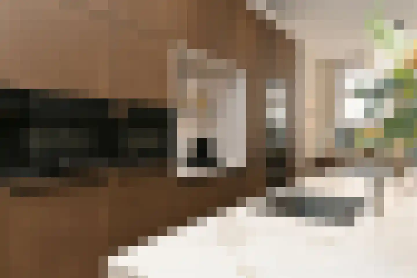 Dommelstraat 10 Eindhoven thumbnail 33