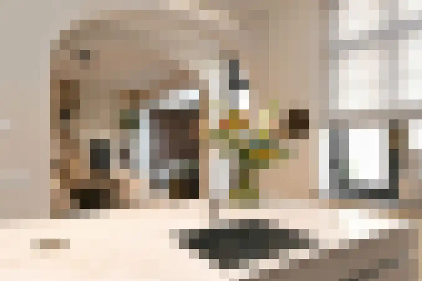 Dommelstraat 10 Eindhoven thumbnail 38