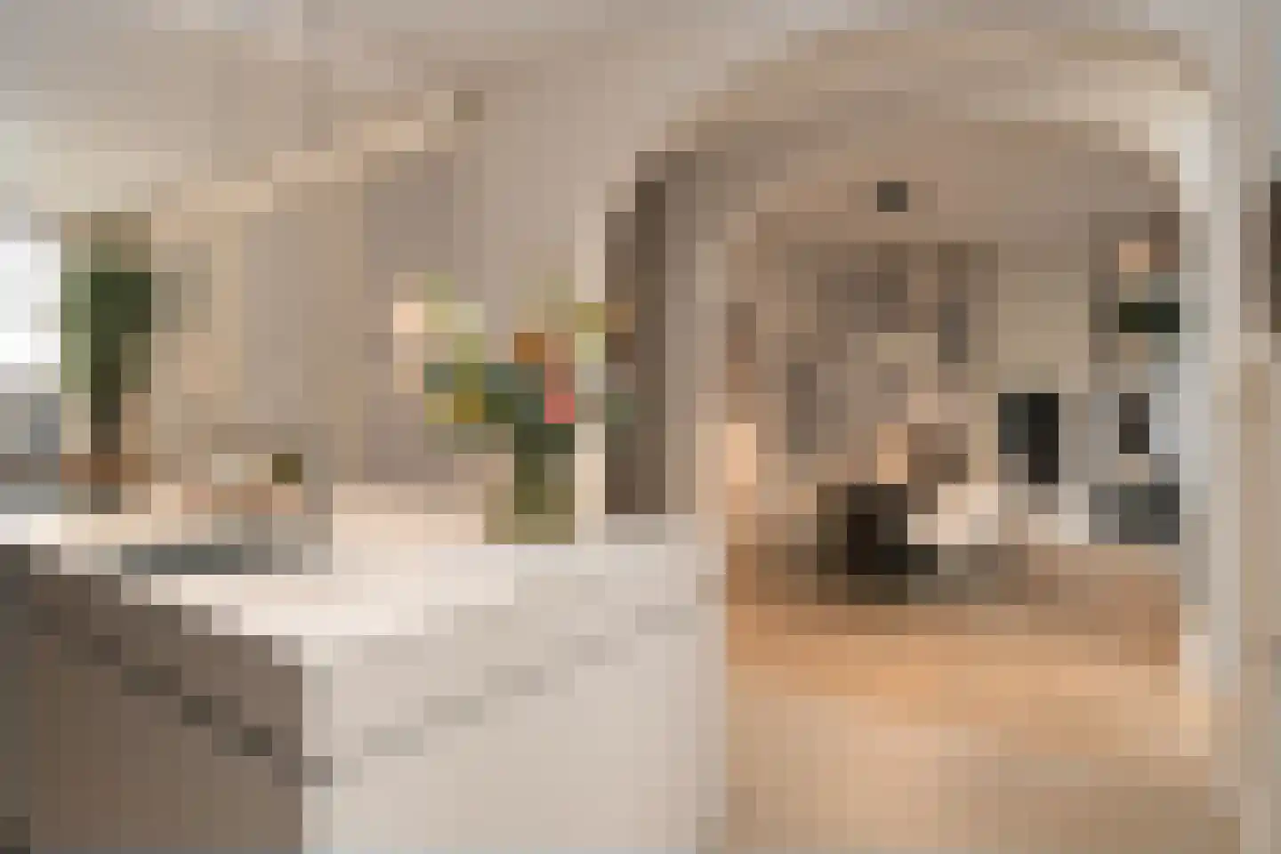 Dommelstraat 10 Eindhoven thumbnail 39