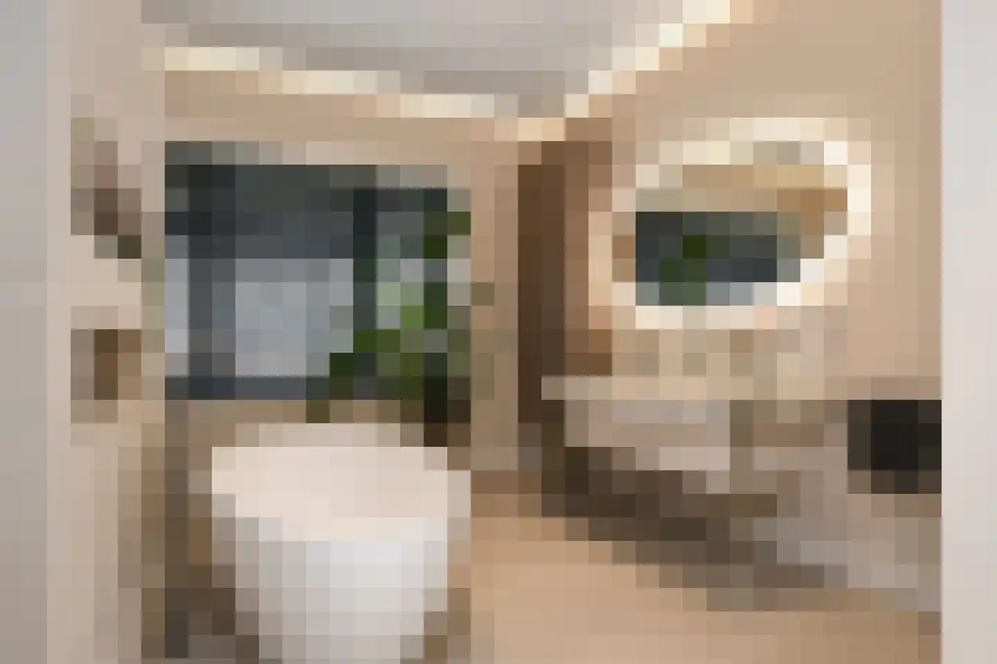 Dommelstraat 10 Eindhoven thumbnail 45
