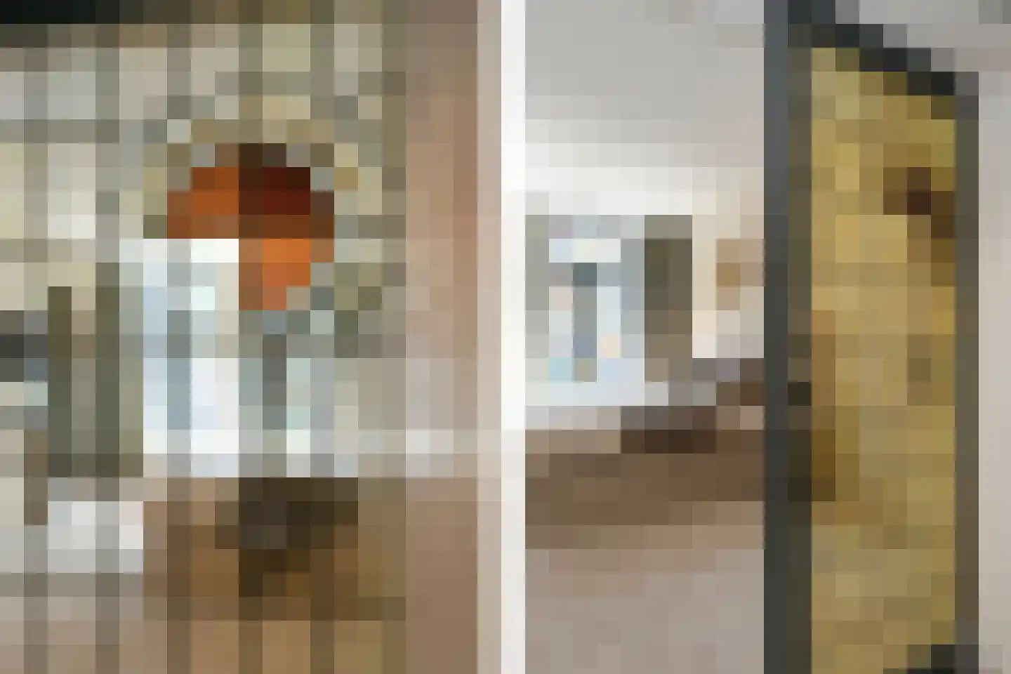 Dommelstraat 10 Eindhoven thumbnail 46