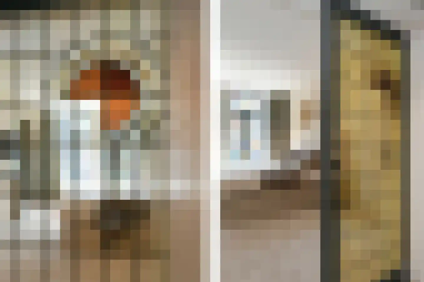 Dommelstraat 10 Eindhoven thumbnail 46