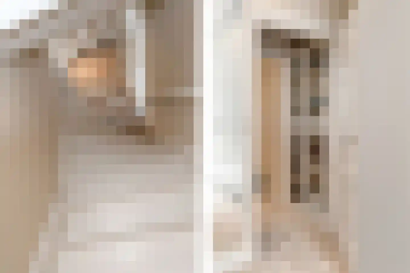 Dommelstraat 10 Eindhoven thumbnail 52