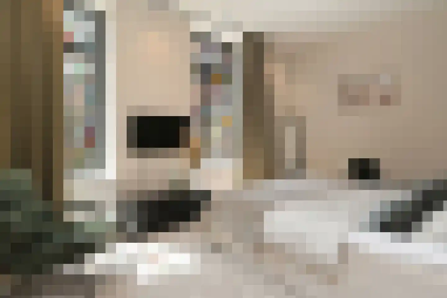 Dommelstraat 10 Eindhoven thumbnail 53