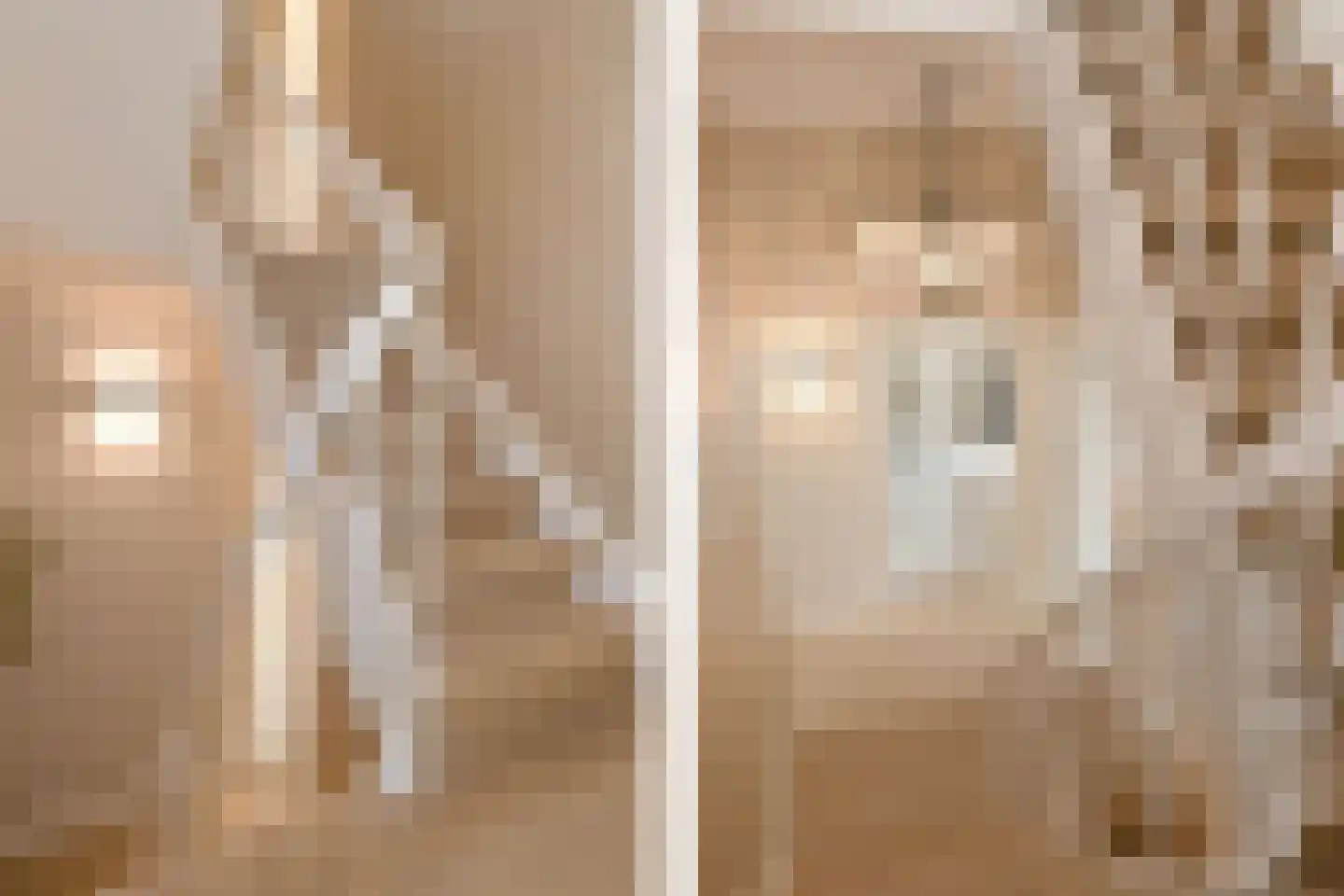 Dommelstraat 10 Eindhoven thumbnail 60