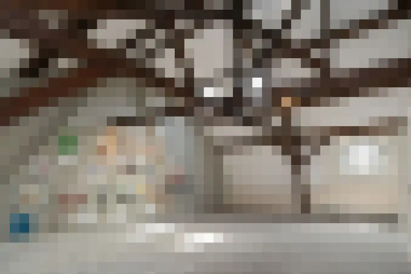 Dommelstraat 10 Eindhoven thumbnail 63