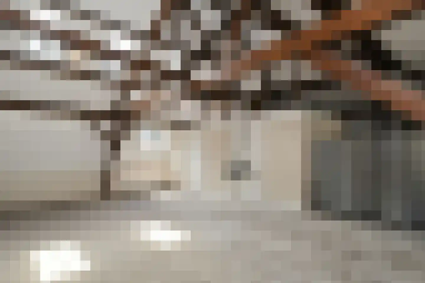 Dommelstraat 10 Eindhoven thumbnail 64
