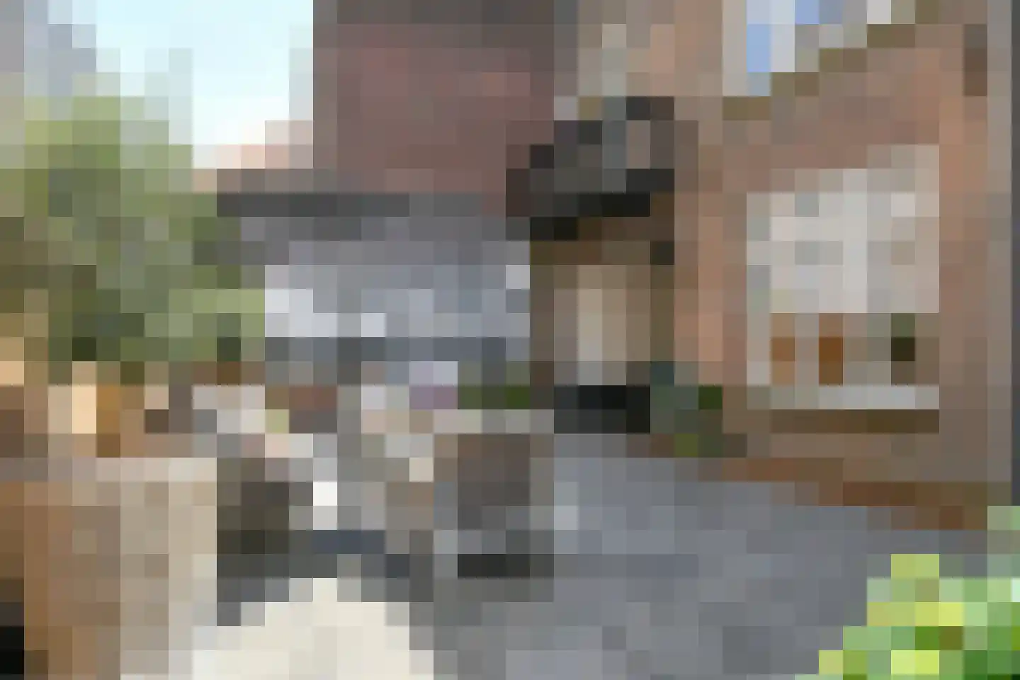 Dommelstraat 10 Eindhoven thumbnail 68
