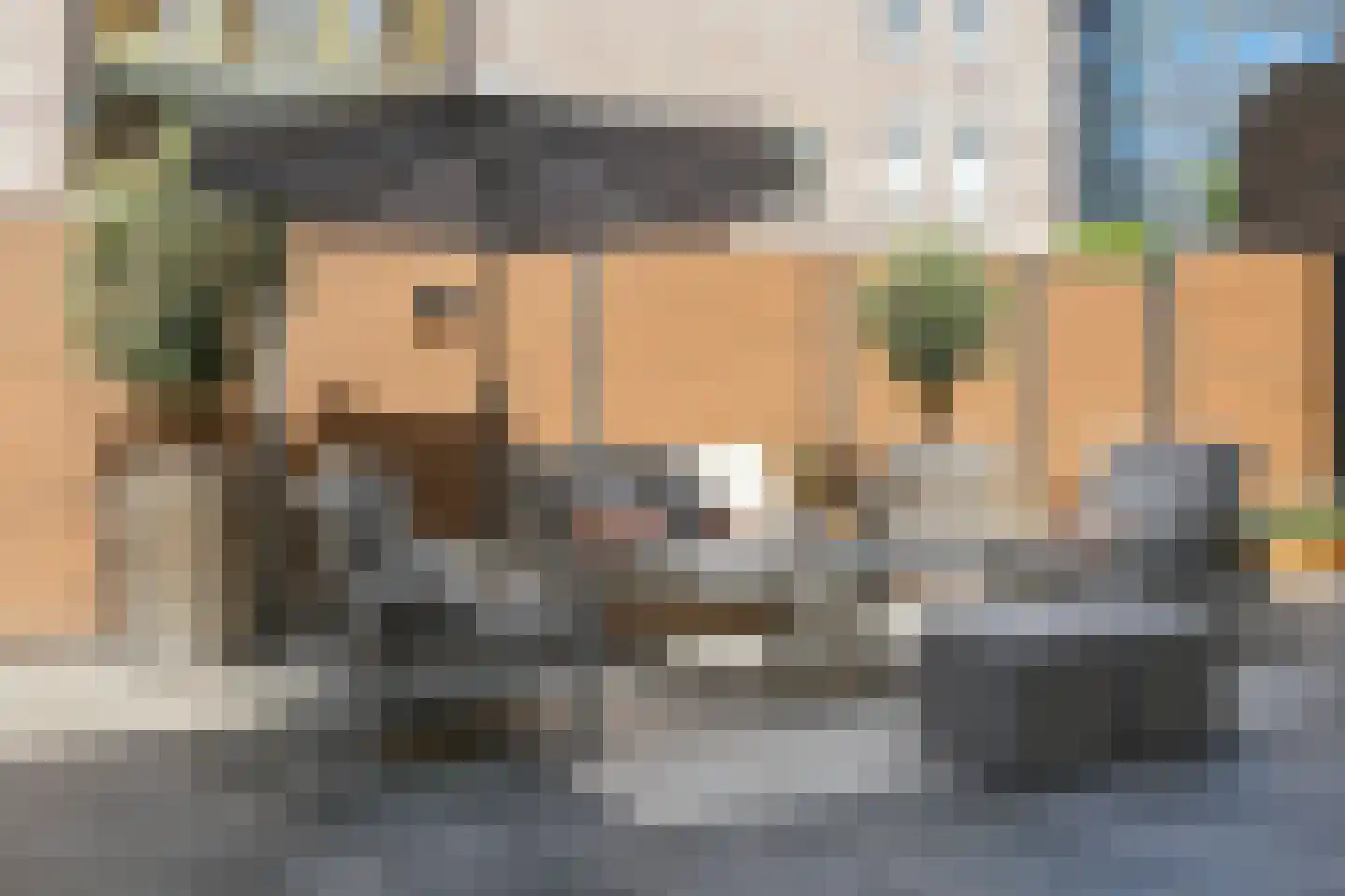 Dommelstraat 10 Eindhoven thumbnail 69