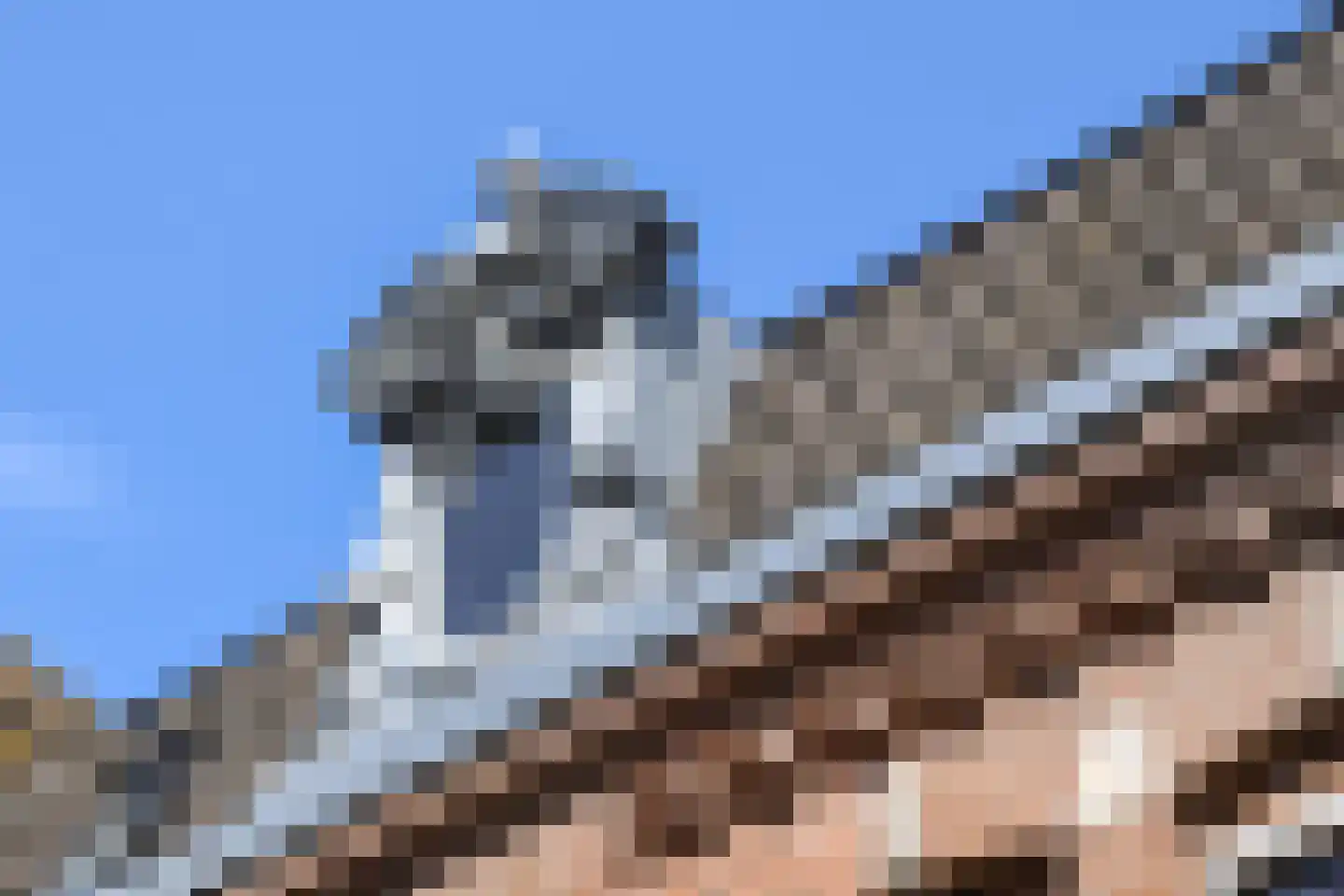 Dommelstraat 10 Eindhoven thumbnail 9