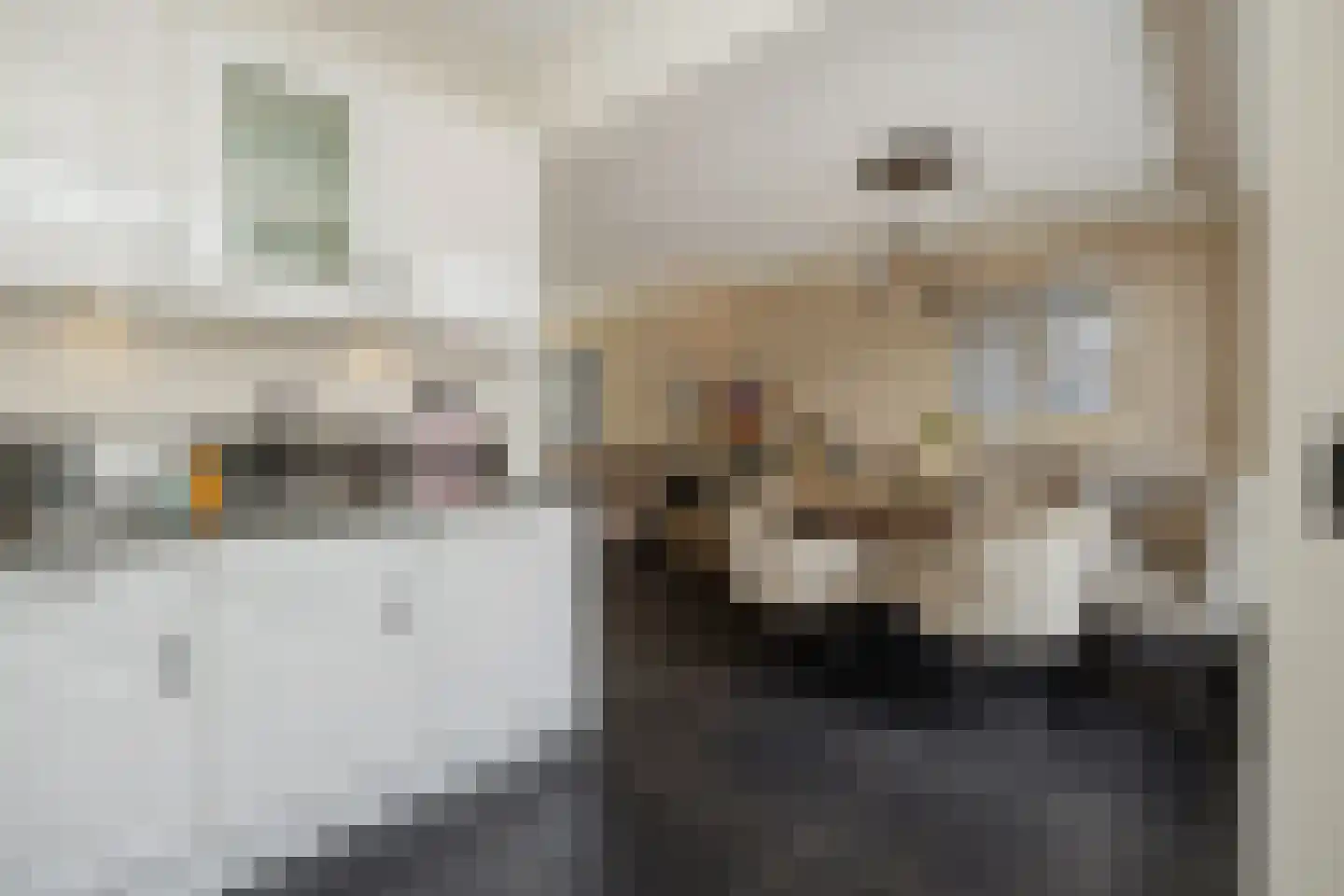 Dommelstraat 12 's-Hertogenbosch thumbnail 11