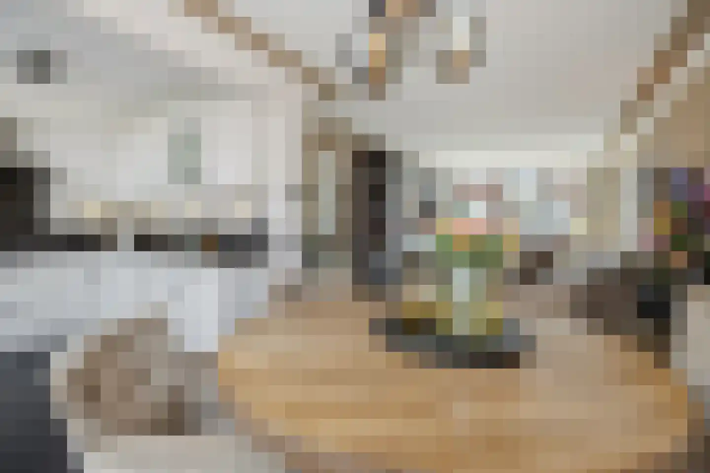 Dommelstraat 12 's-Hertogenbosch thumbnail 12