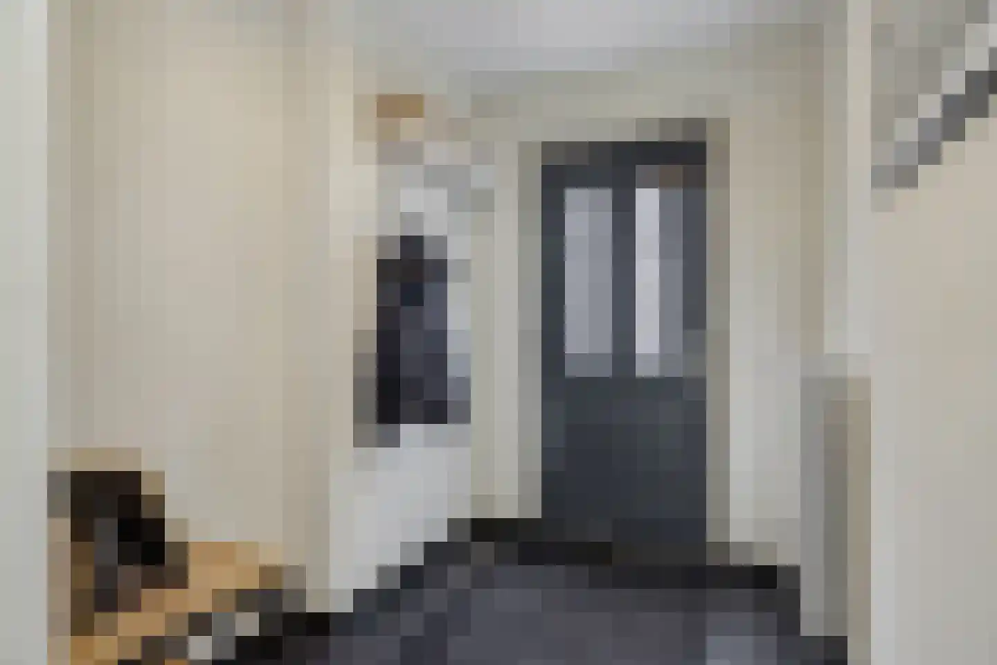 Dommelstraat 12 's-Hertogenbosch thumbnail 16