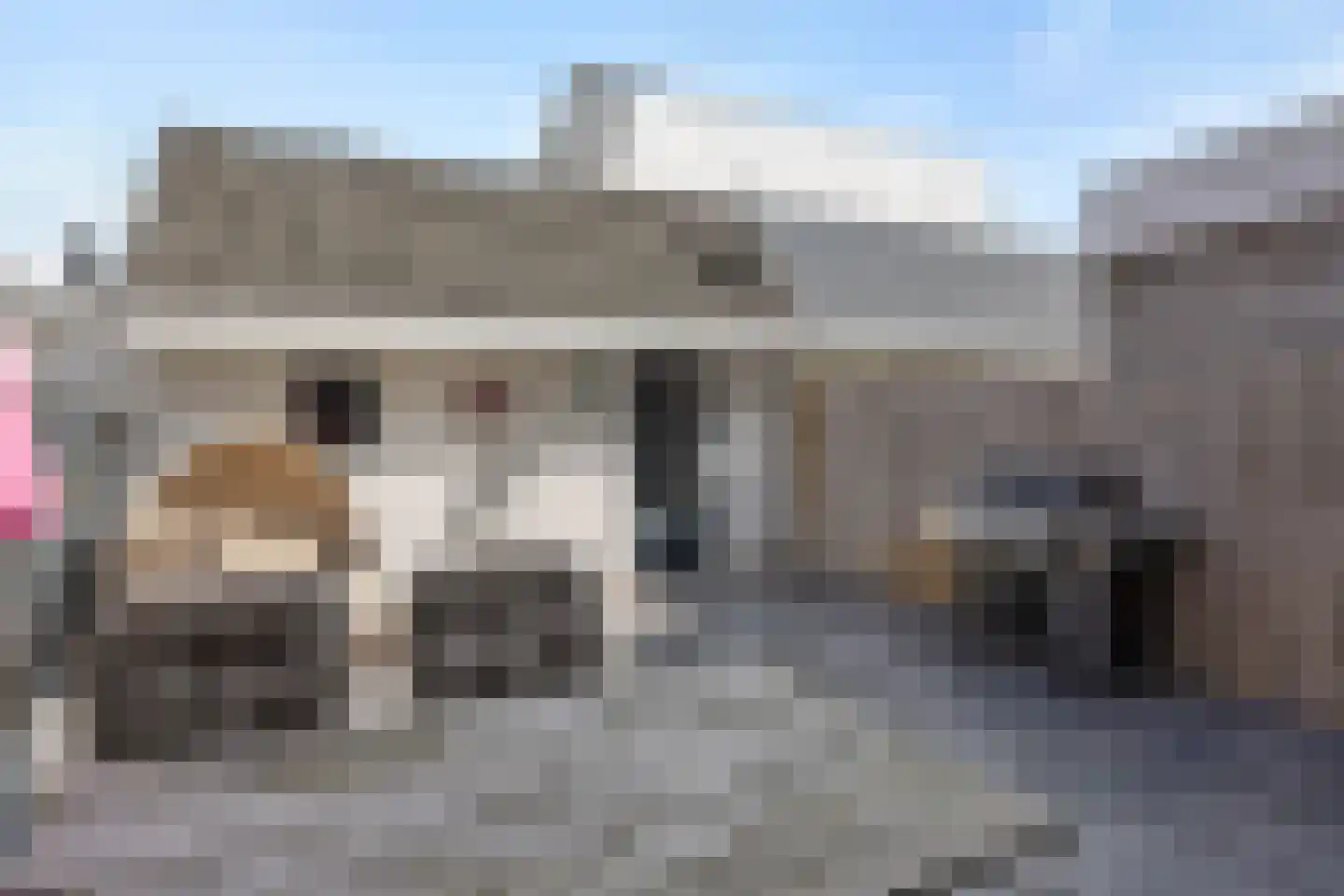 Dommelstraat 12 's-Hertogenbosch thumbnail 34