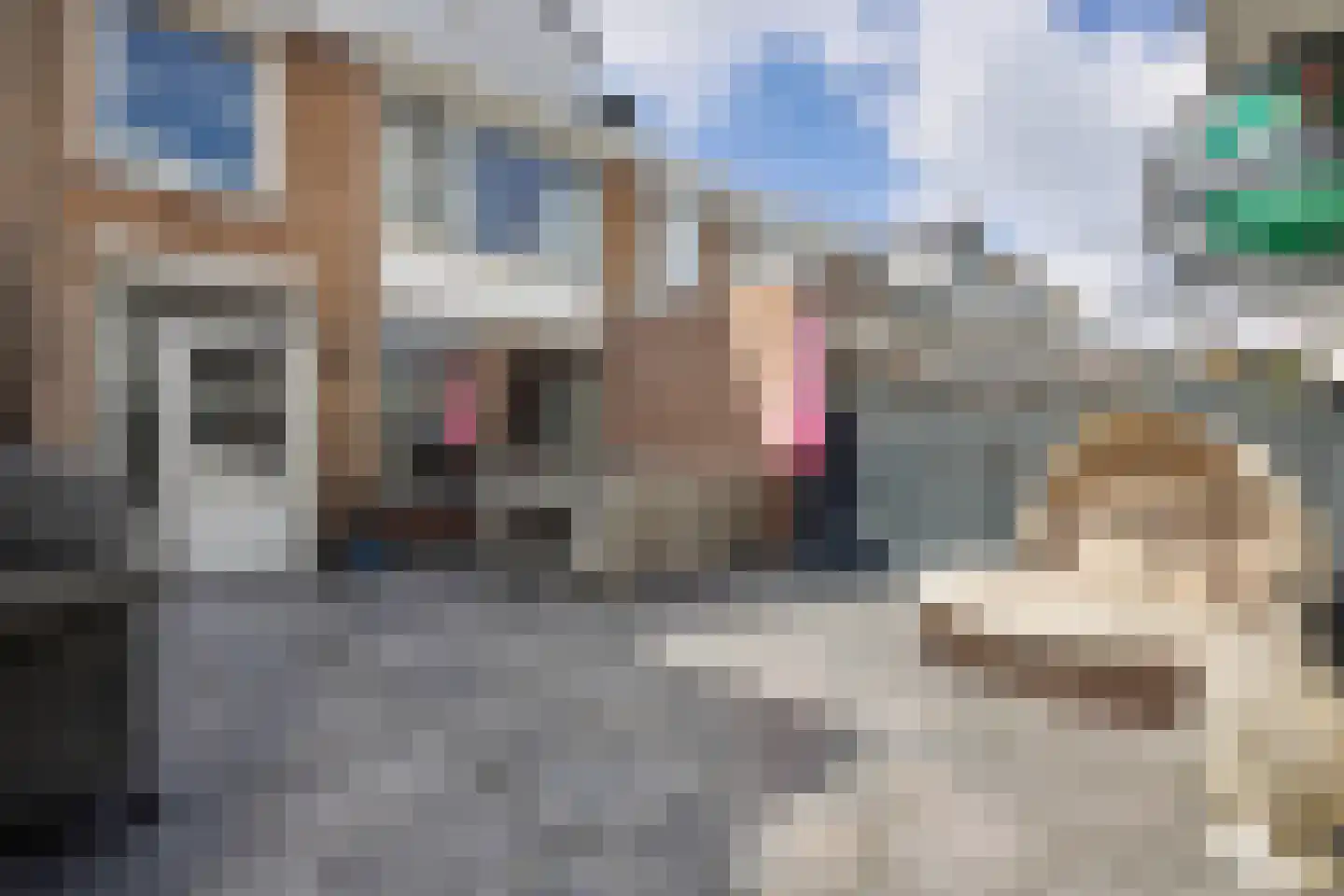 Dommelstraat 12 's-Hertogenbosch thumbnail 36