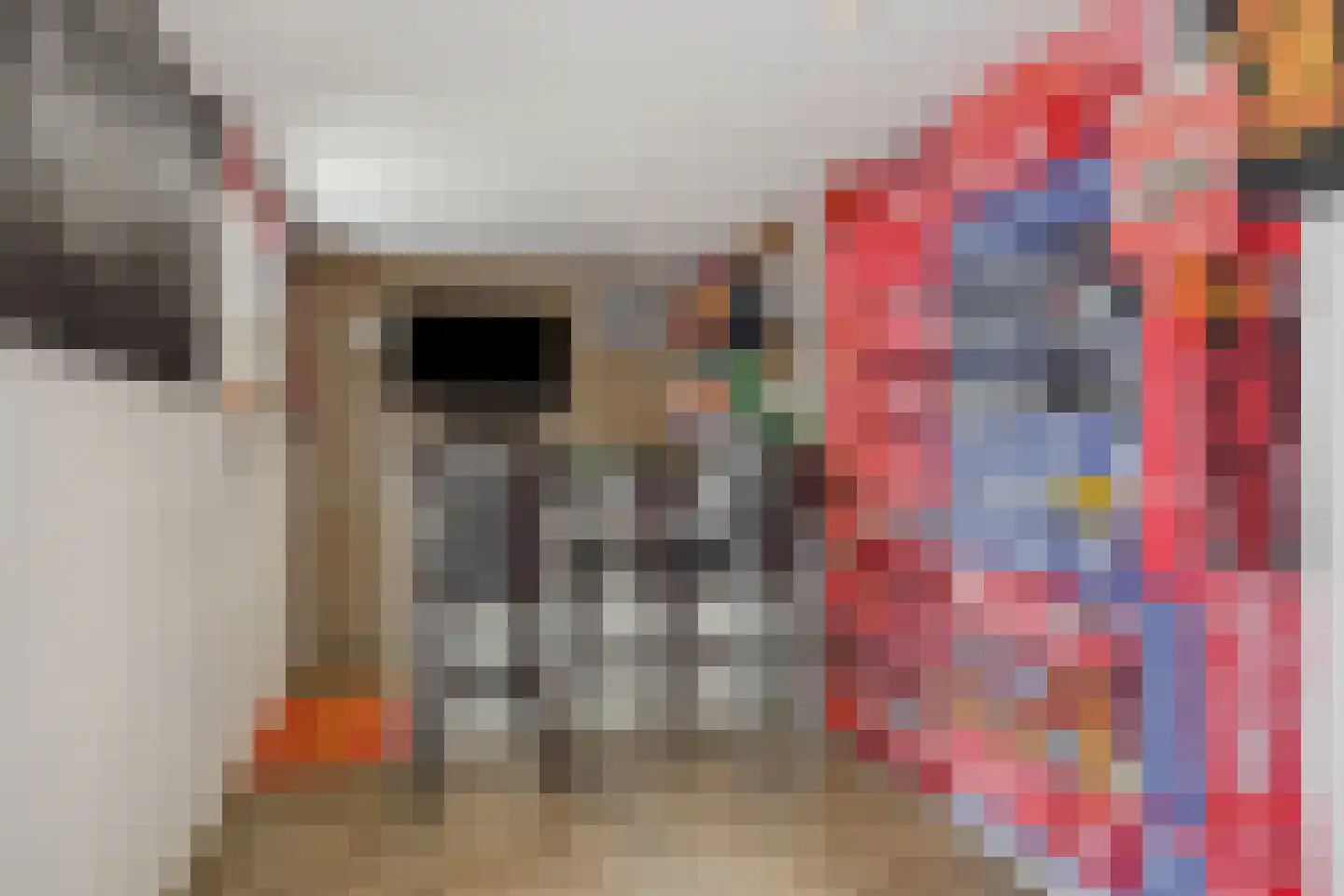 Dommelstraat 12 's-Hertogenbosch thumbnail 38