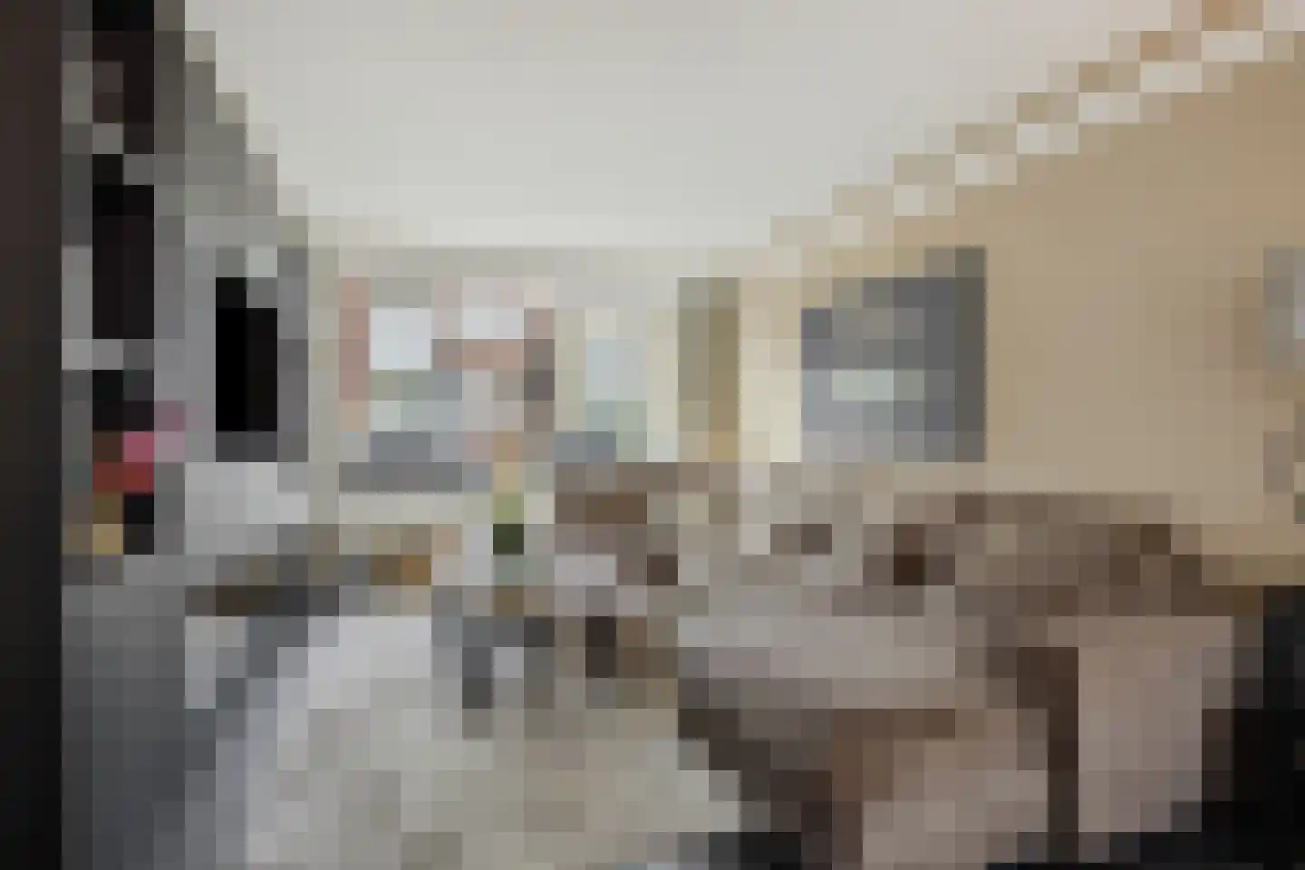 Dommelstraat 12 's-Hertogenbosch thumbnail 4